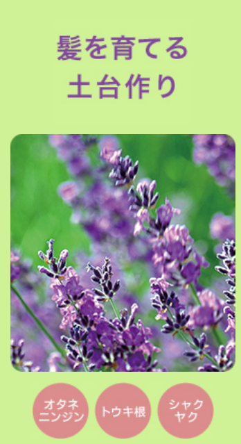 モイストヘアシャンプーDX（詰替用）- 株式会社ソフィール オンライン